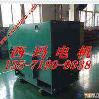 西玛电机YKK4005-8 200KW 6KV 740R空压机专用高压电动机