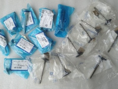 凯迪拉克ATSL XTS XT5 CT6进排气门 气门油封